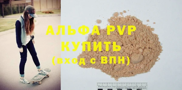 индика Мегион