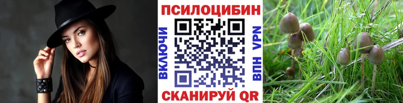 Псилоцибиновые грибы мухоморы Энгельс